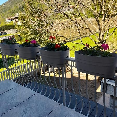 Mazzo di Valtellina La Casetta Di Campagna מראה חיצוני תמונה