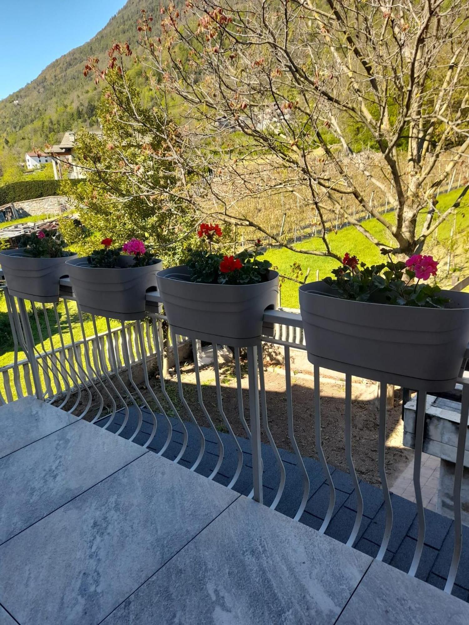 Mazzo di Valtellina La Casetta Di Campagna מראה חיצוני תמונה